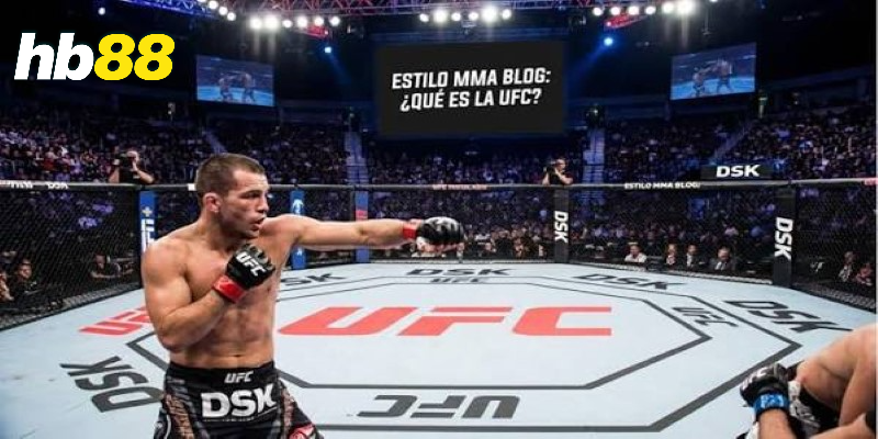 MMA UFC cược kèo HB88 – Cách đọc kèo và phân tích trận đấu 2 MMA UFC cược kèo HB88 có những điểm đáng chú ý?
