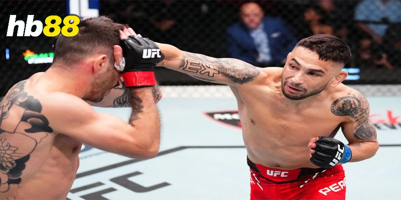 MMA UFC cược kèo HB88 – Cách đọc kèo và phân tích trận đấu 3 Các loại kèo thường gặp khi theo dõi UFC